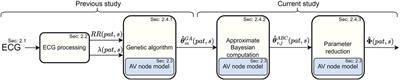 Model-based estimation of AV-nodal refractory period and conduction delay trends from ECG